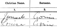 Jeremiah and Louisa Cronin, 1911 Census