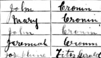 John and Mary Cronin, 1911 Census