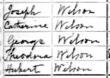Joseph Wilson and family in the 1901 Census